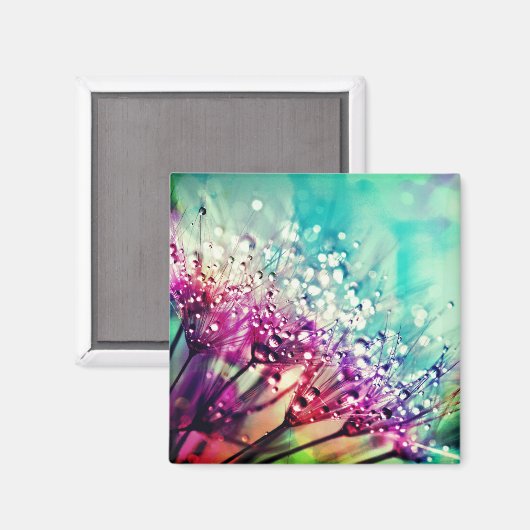 自然 マグネット (正面/裏面)