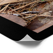 . .自然・モスハートポスターに恋をする ポスター (角)