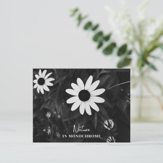 自然（モノクロ） ポストカード (スタンド正面)