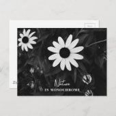 自然（モノクロ） ポストカード (正面/裏面)