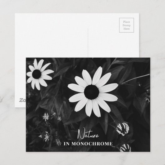自然（モノクロ） ポストカード (正面/裏面)