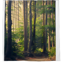 自然、国立公園の木