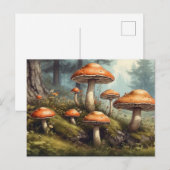 自然、夏の森のイラスト キノコ ポストカード (正面/裏面)