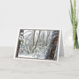 ***自然：季節ごとにライブ：ウォールデン池 シーズンカード