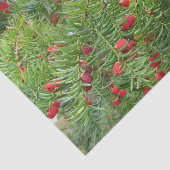 自然，枝，植物，自然，季節，赤，ベリー 薄葉紙 (詳細)