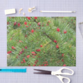 自然，枝，植物，自然，季節，赤，ベリー 薄葉紙 (クラフト)