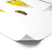 自然，植物学プリント，カモミールの花芸術 ポスター (角)