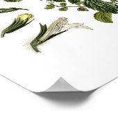 自然,植物性プリント,レモンバームの花芸術 ポスター (角)