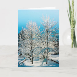 自然：溢れる神性 ウォルデン湖 シーズンカード