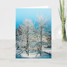 自然：溢れる神性 ウォルデン湖 シーズンカード