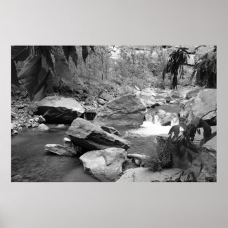 自然（白黒） ポスター