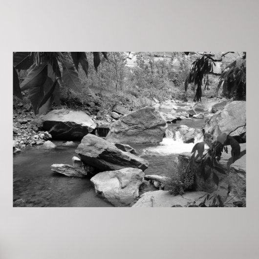 自然(白黒) ポスター (正面)