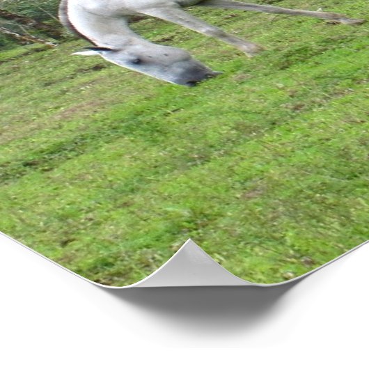 自然 – 私たちは平和を探す ポスター (角)