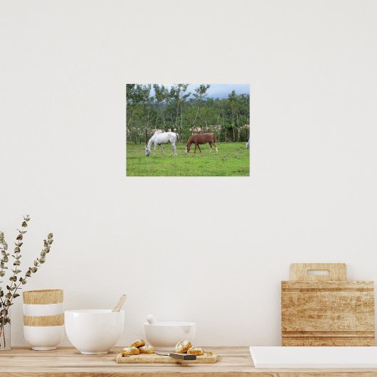 自然 – 私たちは平和を探す ポスター (キッチン)