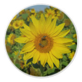 自然，花，夏，ひまわり，花，フローラ セラミックノブ (正面)