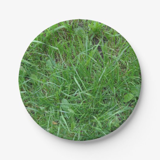 自然、草、紙皿のパッチ ペーパープレート (正面)