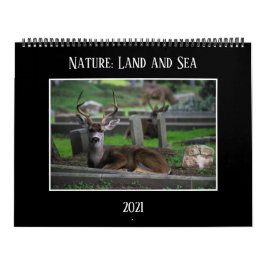 自然:陸海暦2021年 カレンダー