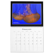 自然:陸海暦2021年 カレンダー (2月 2026)