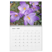 自然-鳥-景色12か月のカレンダー カレンダー (3月 2027)