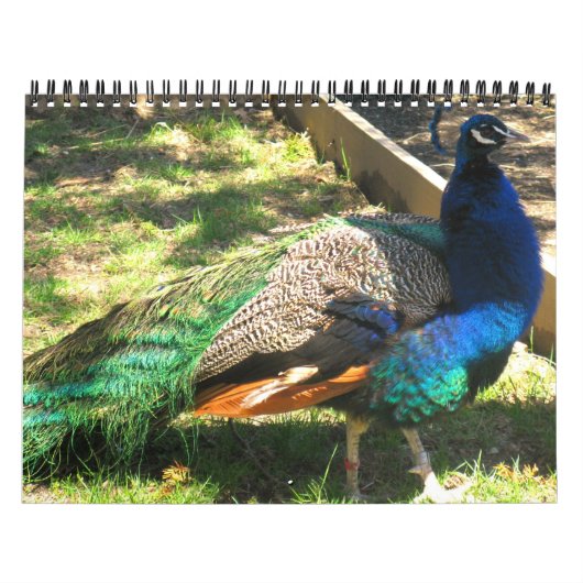 自然-鳥-景色12か月のカレンダー カレンダー (カバー)