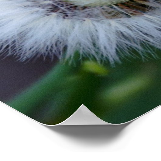 自然(&A)、太陽(&s sun) ポスター (角)