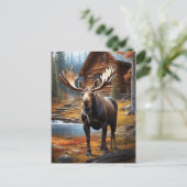 *~*自然AP49ストリームMOOSEフォレストコテージキャビン ポストカード (スタンド正面)