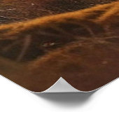 *~*自然AP49ムースフォレストパインズストリーム ポスター (角)