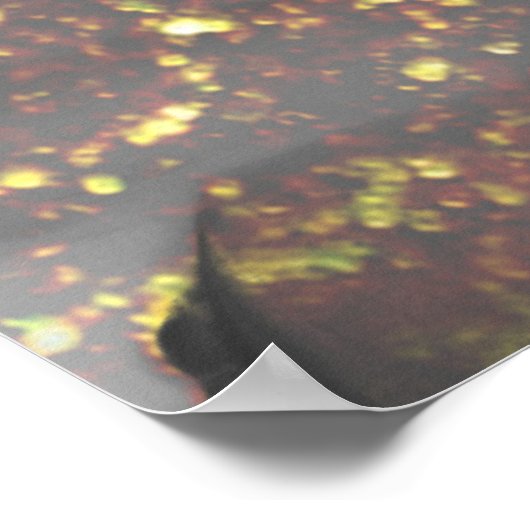 *~*自然AP49 MOOSEアート Forest Stream Sparkle ポスター (角)