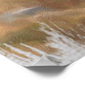 *~*自然AP49 MOOSEフォレストウッズ群 ポスター (角)