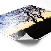 自然EVERGLADES写真 フォトプリント            (角)