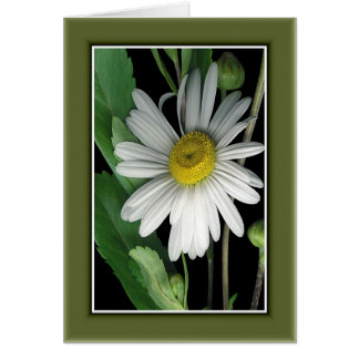 自然r/c17の美しい