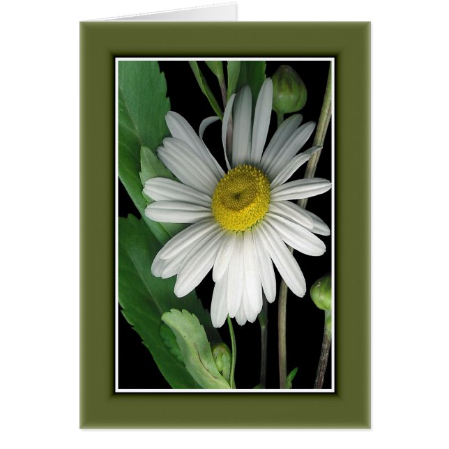 自然r/c17の美しい (正面)