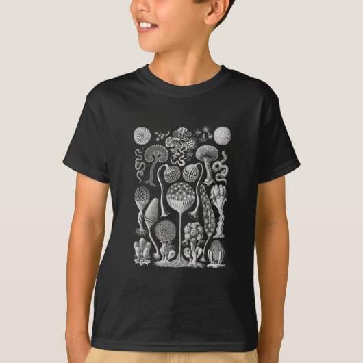 自然Tシャツのアート型枠 Tシャツ (正面)