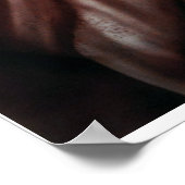 自由が衰退した ポスター (角)