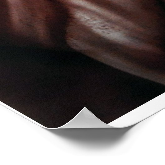 自由が衰退した ポスター (角)