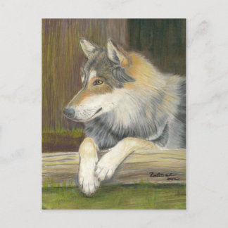 自由でありたいと願う ポストカード