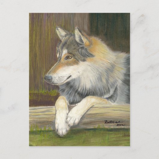 自由でありたいと願う ポストカード (正面)