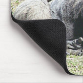 自由なトランプのポーカーのレッスン マウスパッド (コーナー)