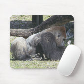 自由なトランプのポーカーのレッスン マウスパッド (マウス)