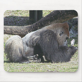 自由なトランプのポーカーのレッスン マウスパッド