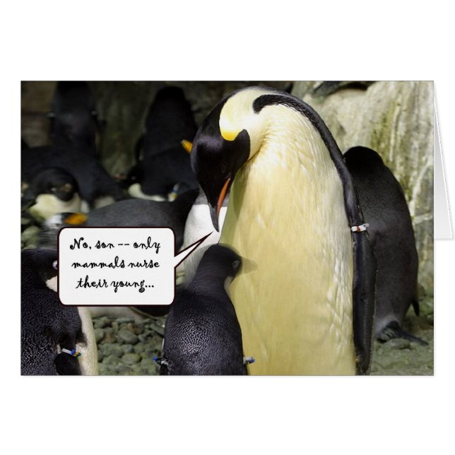 自由な昼食のペンギン無し (正面横)