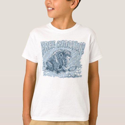 自由な羊毛質 Tシャツ (正面)