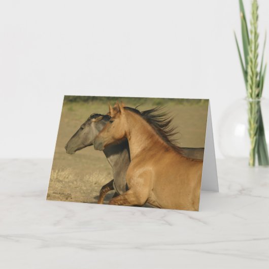 自由に戻っている野生の馬 カード (正面)