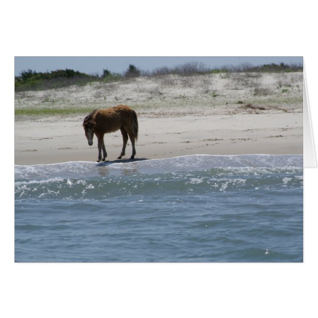 自由に歩き回って下さい (正面横)