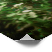 自由に生きる狼 ポスター (角)