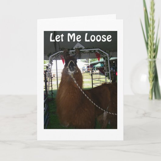 自由に言わせて下さいハッピーバースデー カード (正面)