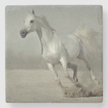 自由に走っている野生の馬