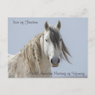 自由のアイコン – ポストカード