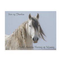 自由のアイコン – ポストカード