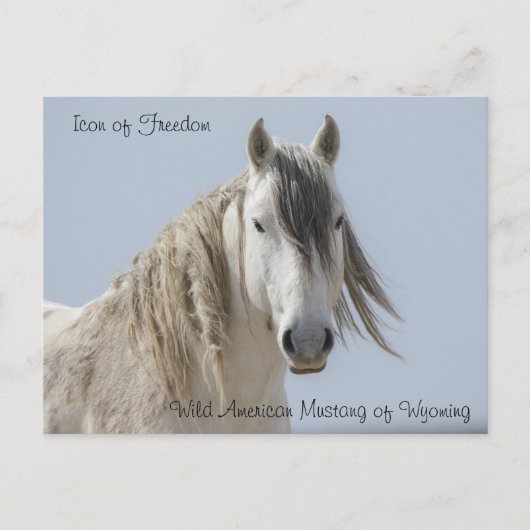 自由のアイコン – ポストカード (正面)